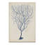 « indigo corail iii », impression-1258556943-1258558007