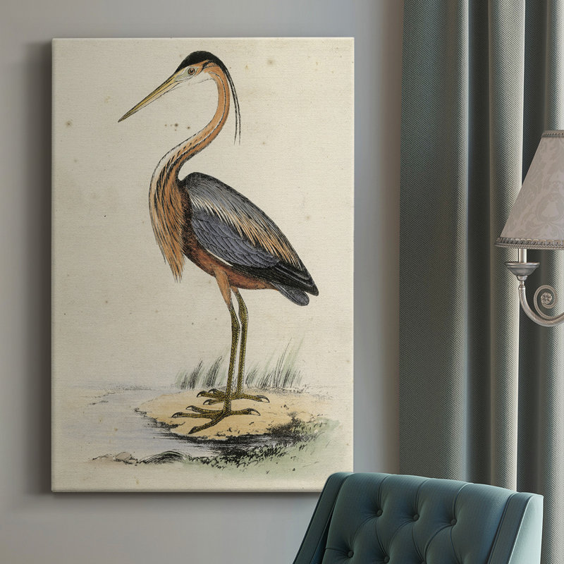 " Antique Heron I " Painting Print, 18" H x 12" W x 1.5" D