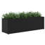 Planter Box-188704464
