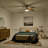Starkk 52'' Ceiling Fan with LED Lights-424679389