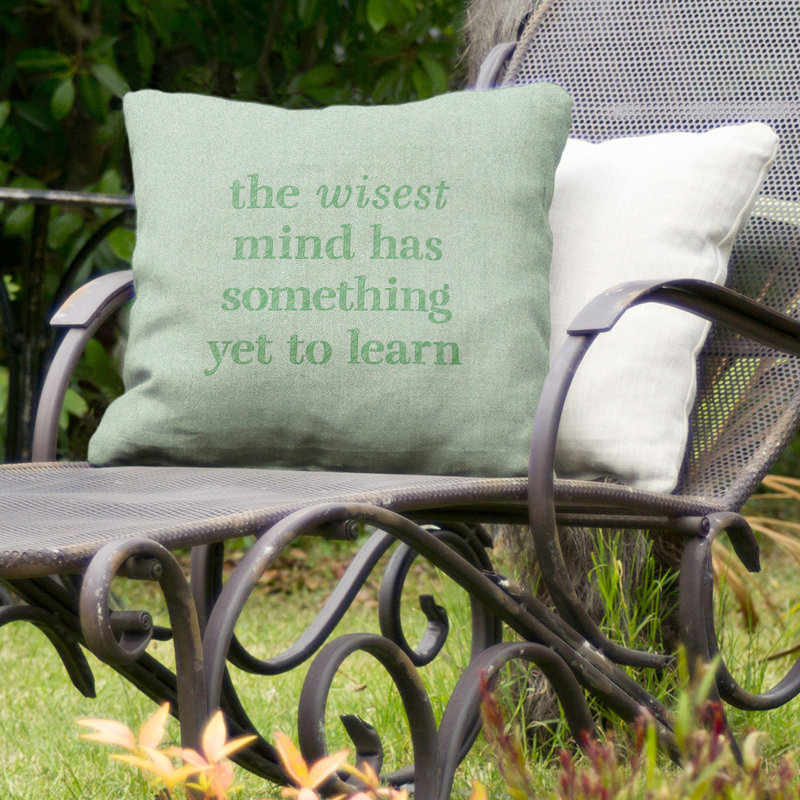 Coussin intérieur/extérieur d’inspiration pédagogique, 20 po x 20 po, Vert