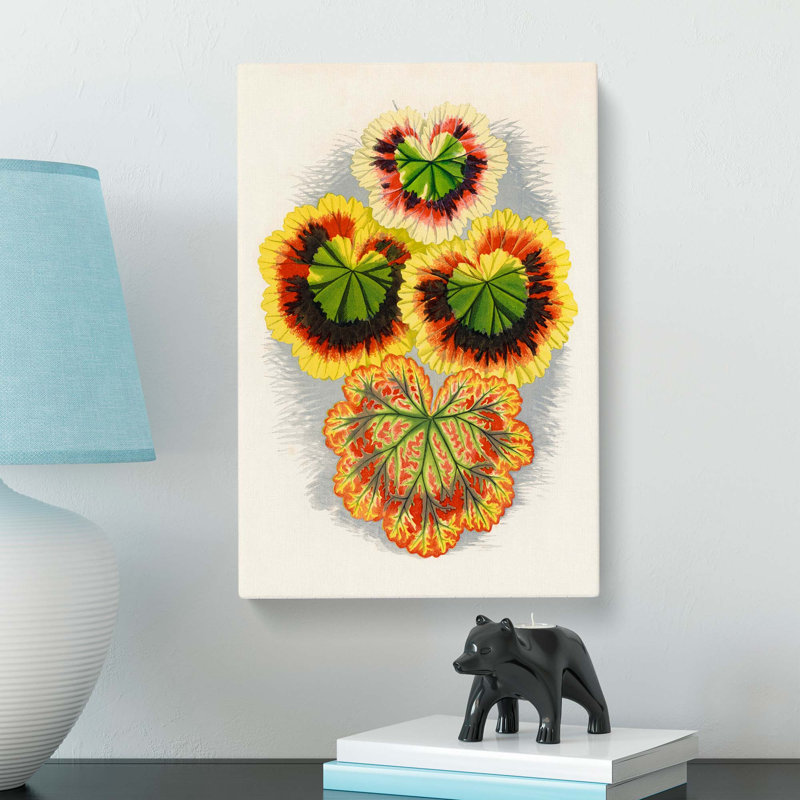 Geranium Leaves by Benjamin Fawcett - Wrapped Canvas, 60cm H x 40cm W x 3cm D