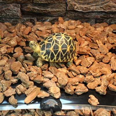 Tapis chauffant pour animal de compagnie pour reptile chauffant pour aquarium