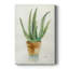 Toile tendue Succulent IV Premium Gallery - prête à être accrochée-1998639848