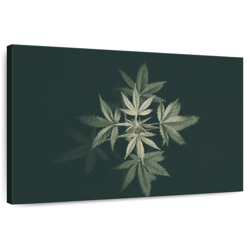 Marijuana In Black, 16" H x 24" W