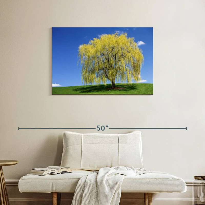 Harnek Spring Weeping Willow, 24" H x 36" W