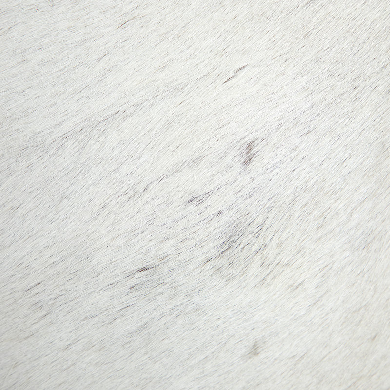 Lucius Bench