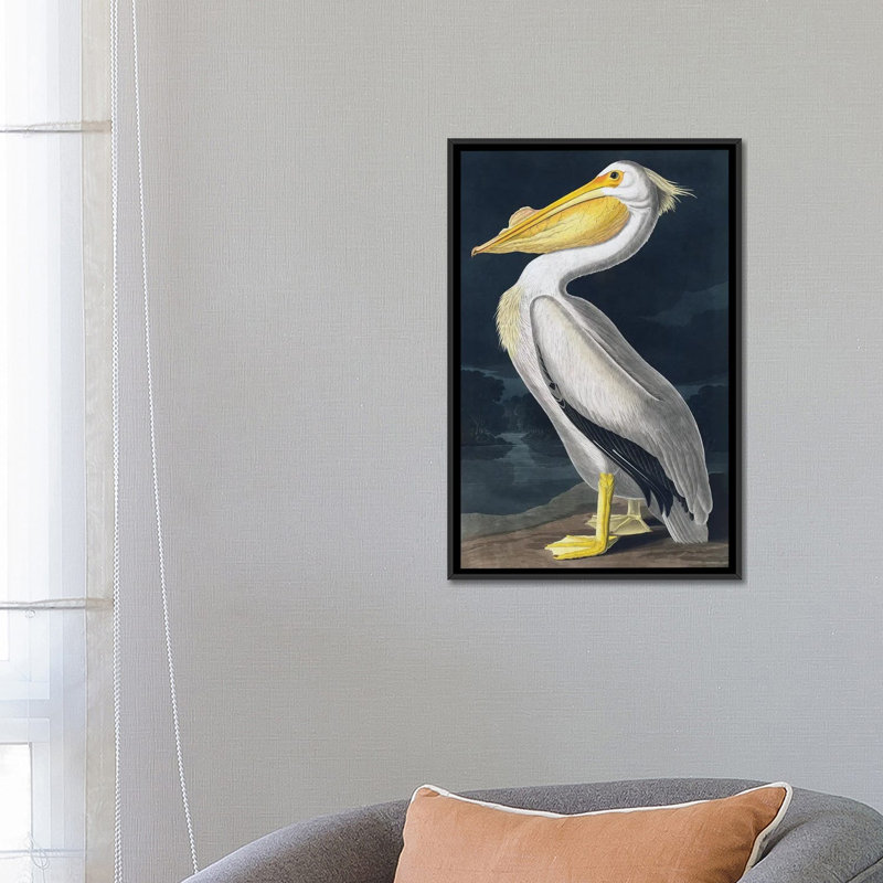 Pelican_1PC6, Cadre flottant noir, H 26 po x l 18 po