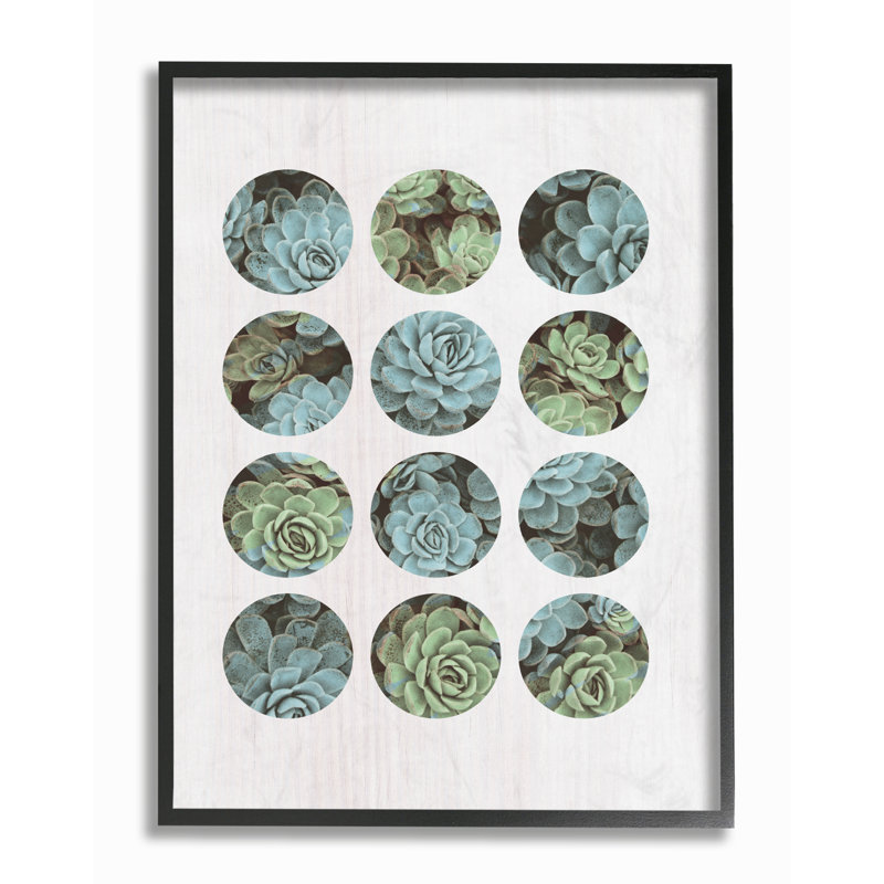 « succulent cercles », impression, Giclée encadrée noir minuit, H 14 po x l 11 po x P 1,5 po