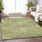 Premium Machine Washable Prisco Aloe Rug-529989451