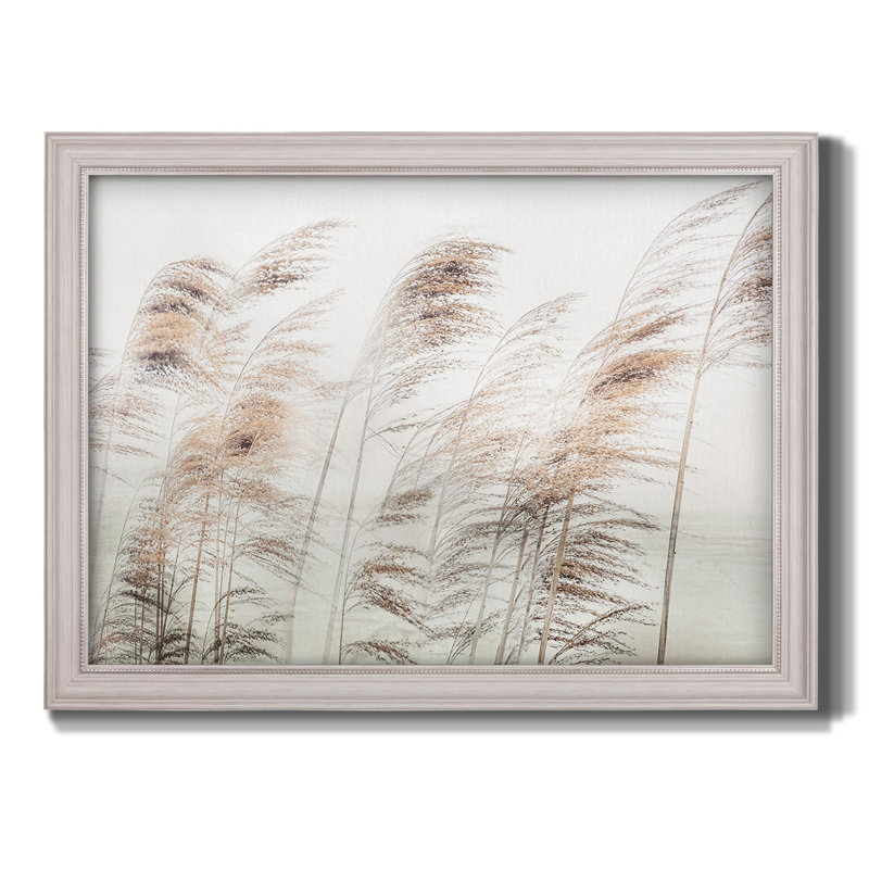 " Delicate Pampas ", 21" H x 25" W x 2.5" D