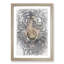 Prowling Tiger in Abstract - Framed Print-55768091-55768092