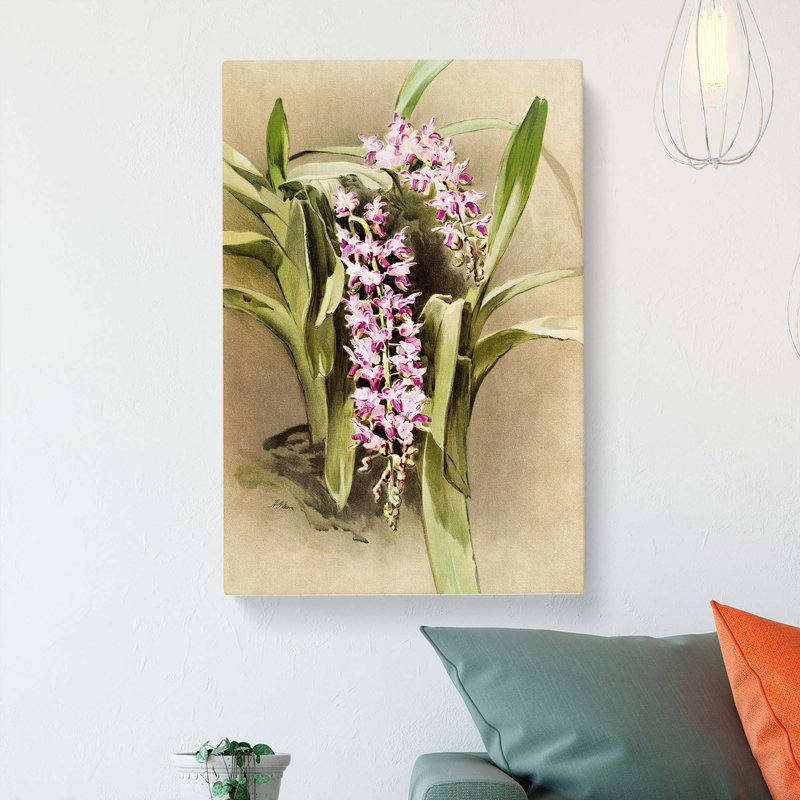 Magnolia Flowers Illustration Tab.81 by Frederick Sander - Wrapped Canvas, 76cm H x 50cm W x 3cm D