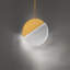 Crescent LED Pendant-133773711