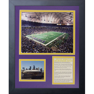 Minnesota Vikings Metrodome Framed Memorabili