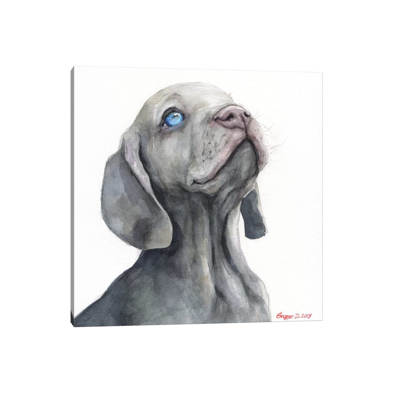 Weimaraner Puppy by George Dyachenko - Wrapped Canvas Gallery-Wrapped Canvas Giclée, 45.72 cm H x 45.72 cm W x 3.175 cm D