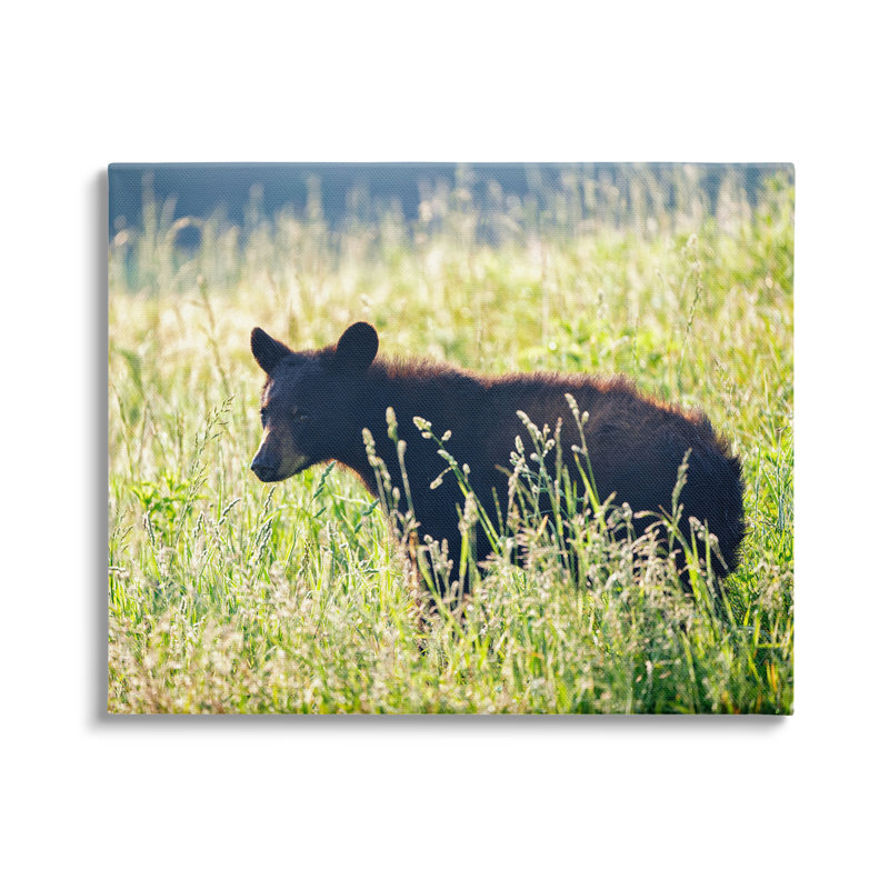 «Baby Bear Tall Grassland Floater» par Rick Berk, H 24 po x l 30 po x P 1,5 po, Toile tendue