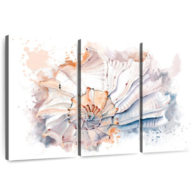 Aletra Nautilus Seashell Splash
