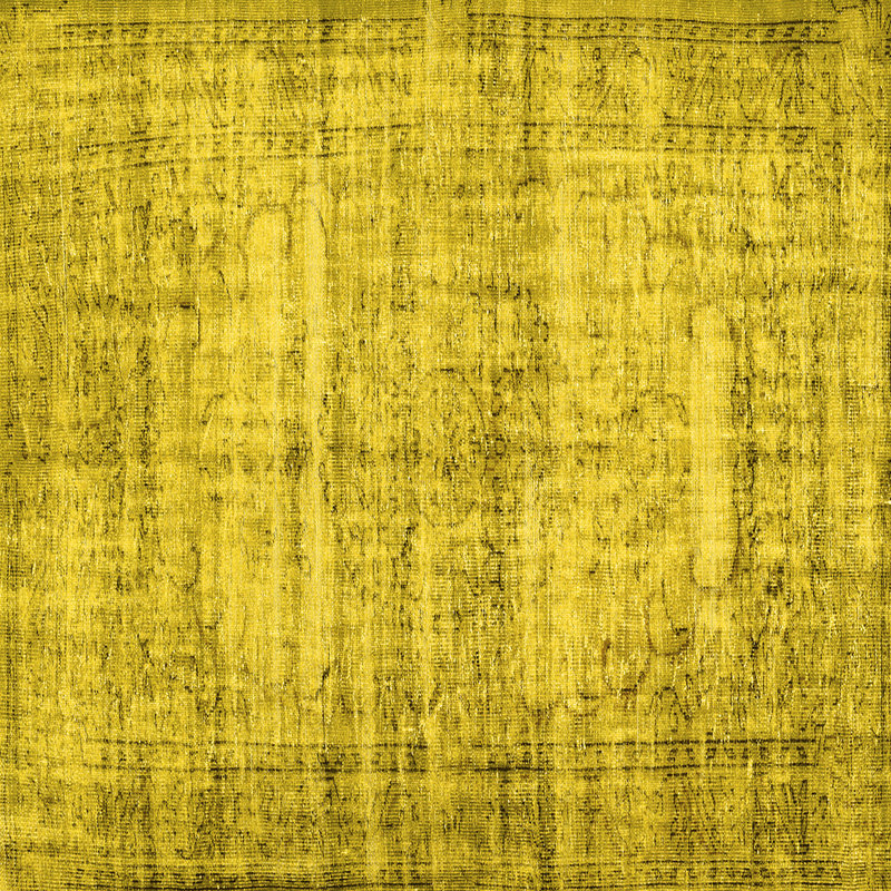 Performance Oriental Indoor Rug, Square 3'