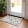 Siim Washable Paisley Indoor / Outdoor Rug