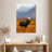 Brampt Moose In Pasture-108445127