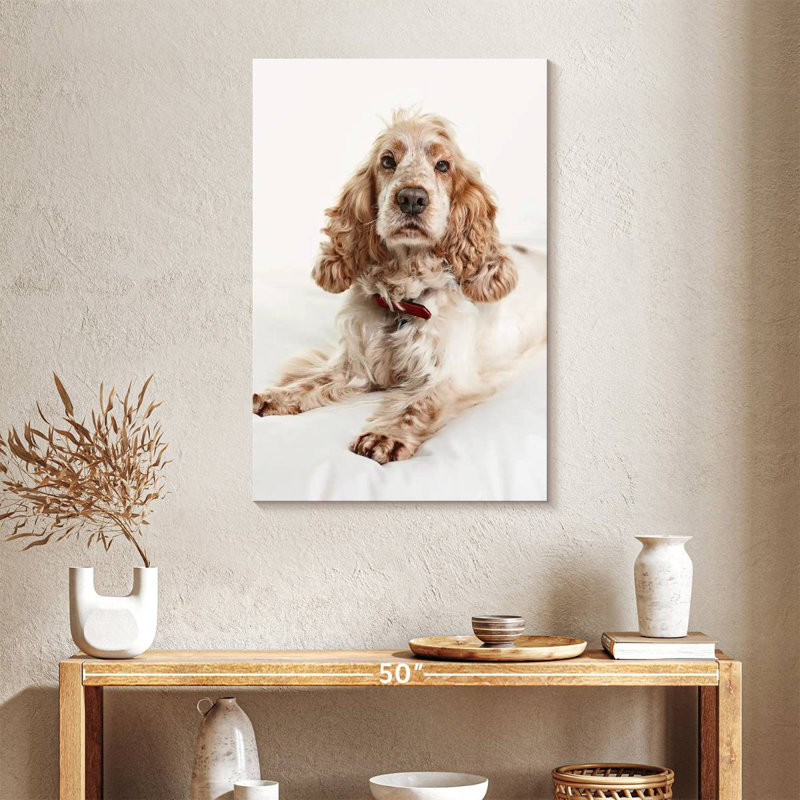 Resting Cocker Spaniel, 36" H x 24" W