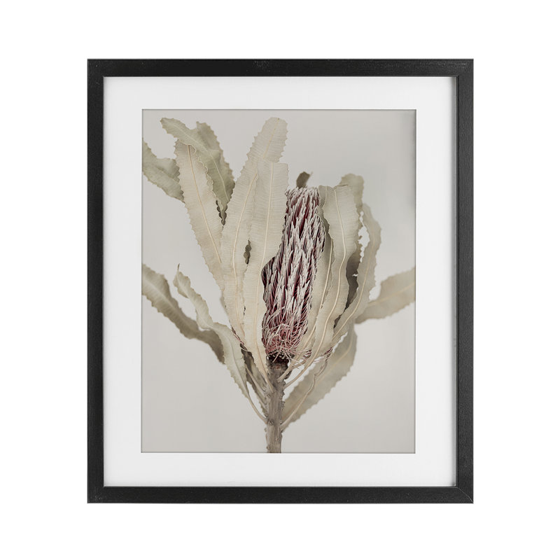 «Hidden Banksia Botanical Fronds», reproduction sous verre encadrée, design par Sissi et Seb, Cadre noir minuit