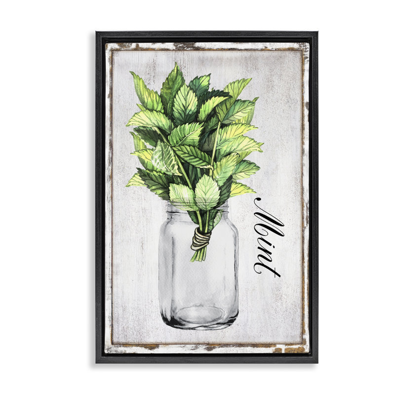  Toile flottante encadrée «Rustic Garden Mint» par Creatif Belle, Cadre flottant noir de jais, H 25 po x l 17 po
