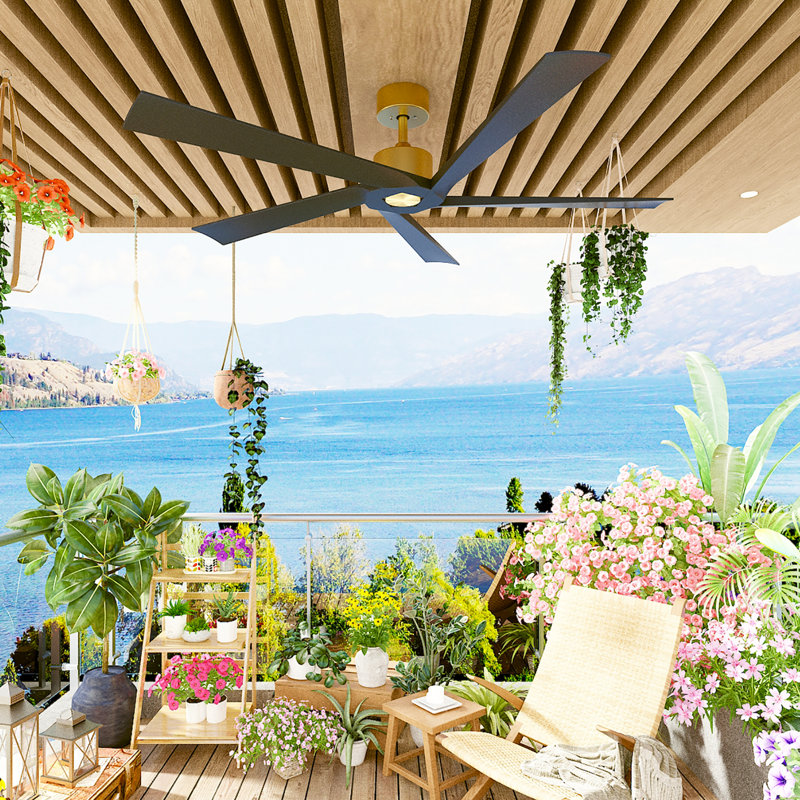 5 - Blade Propeller Ceiling Fan With Remote Control