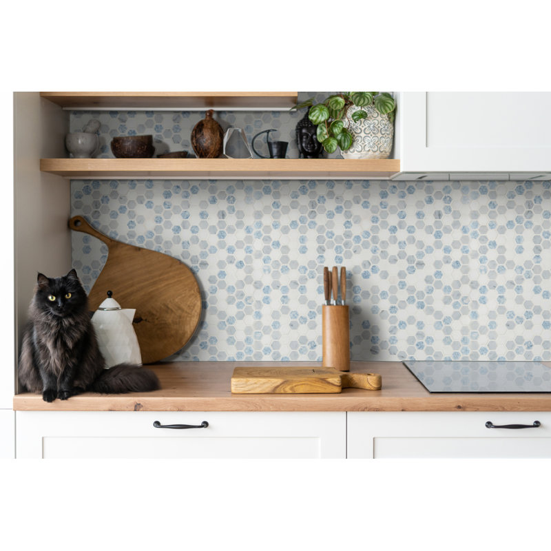 Loredana Hexagon 12 in. x 12 in. Polished Marble Mosaic Floor and Wall Tile