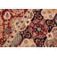 Tapis oriental crème et rouge en laine noué à la main 8 pi 2 po x 10 pi Padrick