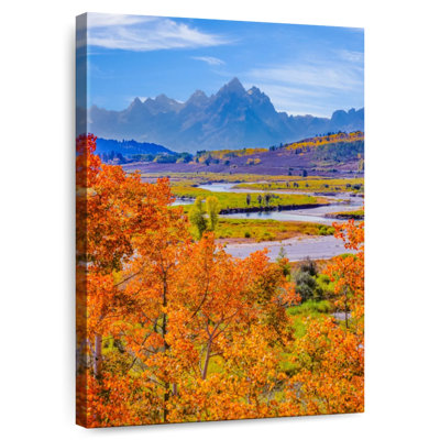 Trembles d'Alvord à Grand Teton