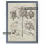 « tournesol ii » par paul cezanne-cadre photo, reproduction d’art Fresco-1383942124-1383942113