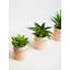 10cm Faux Succulent Plant in Ceramic Pot-891229245