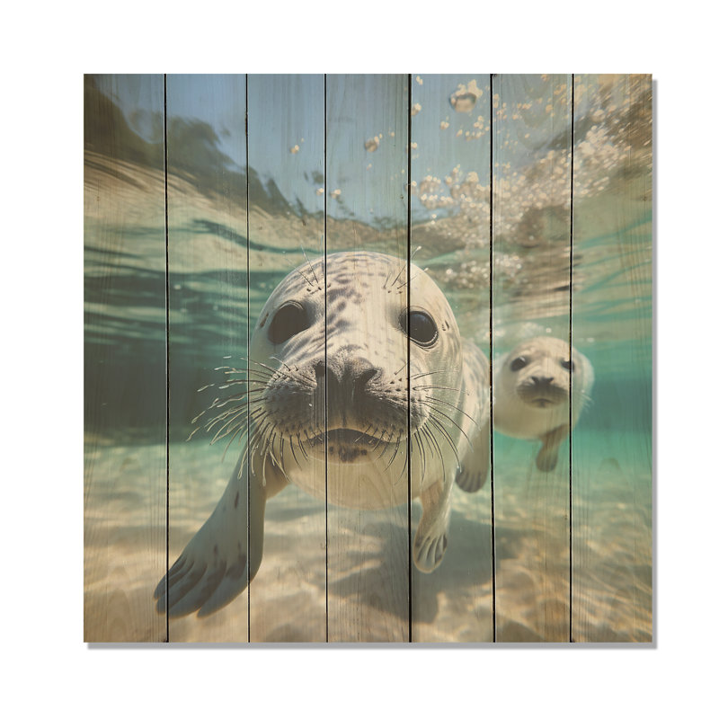 Lions de mer au jeu III - phoque / otarie marine sur bois, H 15 po x l 15 po