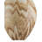 Latte Beige Table Lamp
