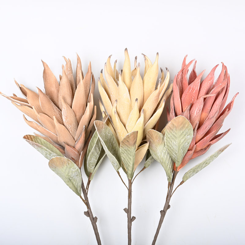 Protea Cynaroides, arrangement floral, longue tige