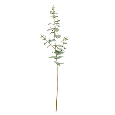 Eucalyptus Floral Stems
