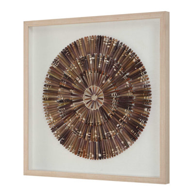  Tiger Sea Urchin Shadow Box