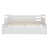 Blanc est en rupture de stock