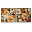 Cuscute - Ensemble de 2 collages carrés floraux-101850689-101850688