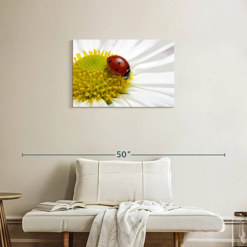 Coccinelle sur camomille, H 20 po x l 30 po