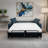 Björgúlfur 81" Italian Stain and Abrasion Resistant Performance Fabric Queen Pull Out Sleeper Sofa Bed-657131572