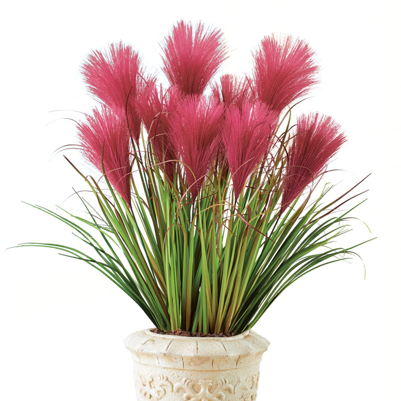 Pampas