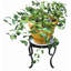 Support pour plante Drumnagee-546492111