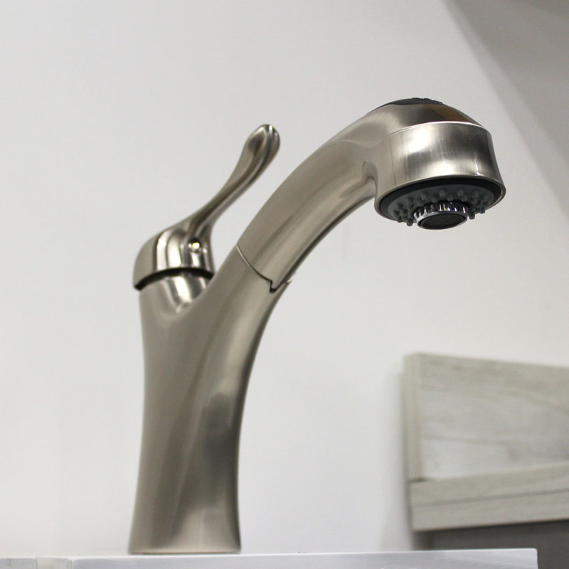 Dowell Pull Out Kitchen Faucet