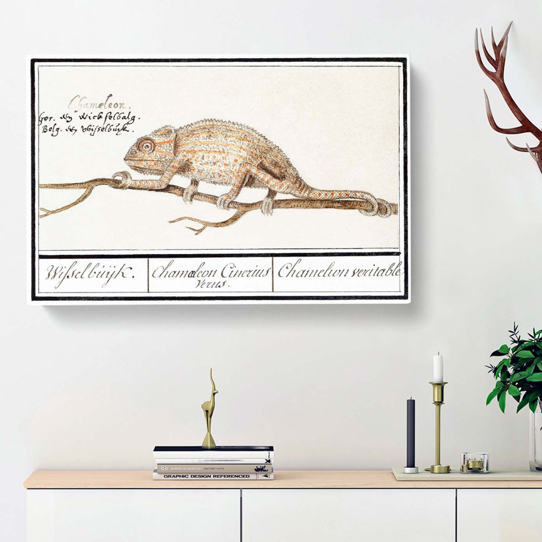 Chameleon by A.B. De Boodt - Wrapped Canvas