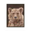 «Bushy Bear» par Cat Thurman Designs, reproduction d'art-1328498194-1328498192-1328498195