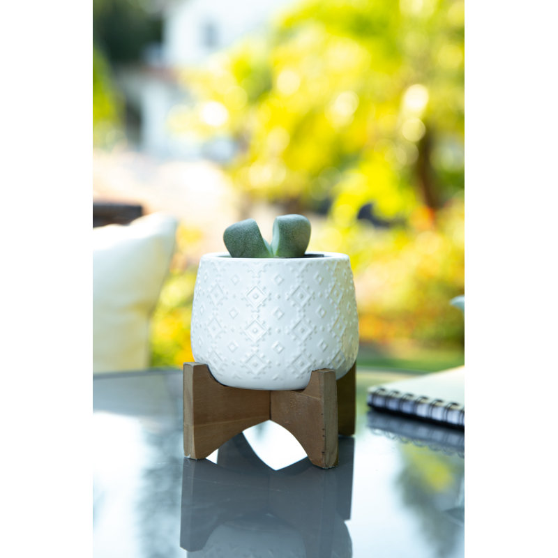 Zainab Ceramic Pot Planter, White