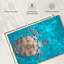 Natation tortue imbriquée-107699796